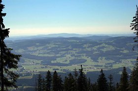 Natur im Bayerischen Wald erleben